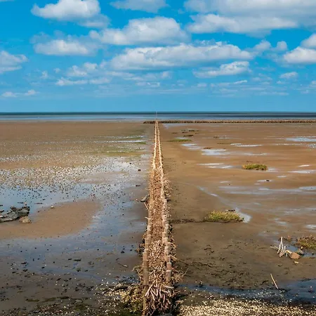 Sanfte Brise Iii